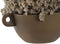 Decoratieve plant Home ESPRIT Bloem 22 x 22 x 14 cm (2 Stuks)