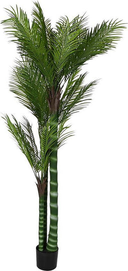 Decoratieve plant Home ESPRIT Polyethyleen Cement Palmboom 100 x 100 x 235 cm