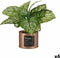 Decoratieve plant Home Koper Blik (26 x 26 x 26 cm) (6 Stuks)