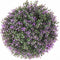 Decoratieve plant Klot Lavendel 20 x 20 x 20 cm