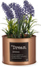 Decoratieve plant Koper Lavendel Blik Metaal Plastic (10 x 18 x 10 cm)