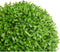 Decoratieve plant Lakens Klot Plastic 27 x 27 x 27 cm (6 Stuks)