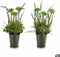 Decoratieve plant Lavendel Metaal Plastic 13 x 40 x 13 cm (12 Stuks)