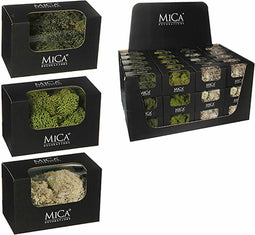 Decoratieve plant Mica Decorations 50 g Mos