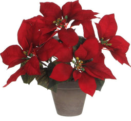 Decoratieve plant Mica Decorations Rood PVC