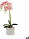 Decoratieve plant Orchidee 18 x 47 x 14 cm Plastic (6 Stuks)