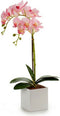 Decoratieve plant Orchidee 18 x 47 x 14 cm Plastic (6 Stuks)