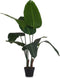 Decoratieve plant Paradijsvogel Groen Plastic (100 x 120 x 100 cm)