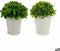 Decoratieve plant Plastic 13 x 17 x 13 cm (12 Stuks)