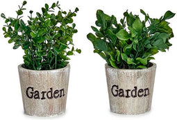 Decoratieve plant Plastic 16 x 22 x 16 cm (12 Stuks)