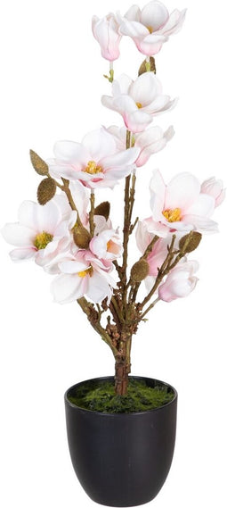 Decoratieve plant Polyester Polyethyleen Ijzer 30 x 30 x 60 cm Magnolia