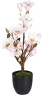 Decoratieve plant Polyester Polyethyleen Ijzer 30 x 30 x 60 cm Magnolia