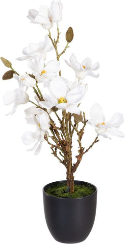 Decoratieve plant Polyester Polyethyleen Ijzer 30 x 30 x 60 cm Magnolia