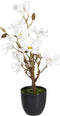 Decoratieve plant Polyester Polyethyleen Ijzer 30 x 30 x 60 cm Magnolia
