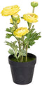 Decoratieve plant Polyester Polyethyleen Ijzer Bloem 12,5 x 12,5 x 37 cm