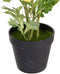 Decoratieve plant Polyester Polyethyleen Ijzer Bloem 12,5 x 12,5 x 37 cm