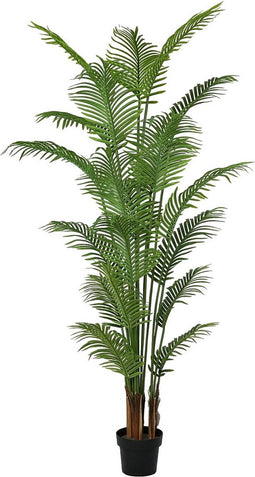 Decoratieve plant Polyurethaan Cement Areca 210 cm