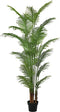 Decoratieve plant Polyurethaan Cement Areca 210 cm