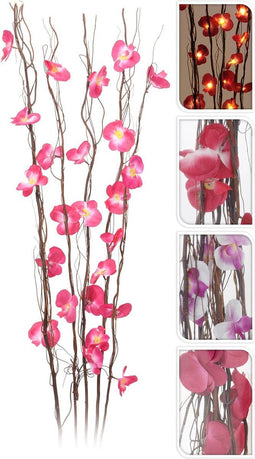 Decoratieve plant