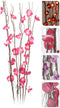 Decoratieve plant