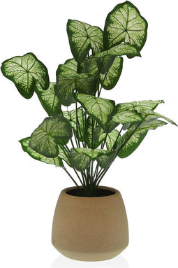Decoratieve plant Versa 15 x 52 x 15 cm Cement Plastic