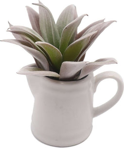 Decoratieve plant Versa Keramisch Plastic 11,43 x 11,94 x 11,43 cm