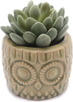 Decoratieve plant Versa Keramisch Plastic 7,62 x 10,16 x 7,62 cm