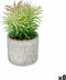 Decoratieve plant Vetplant Hout Plastic 12 x 22 x 12 cm (8 Stuks)