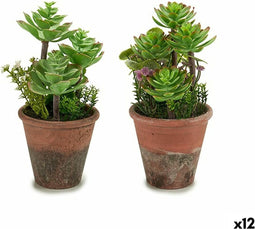 Decoratieve plant Vetplant Plastic 16 x 23 x 16 cm (12 Stuks)