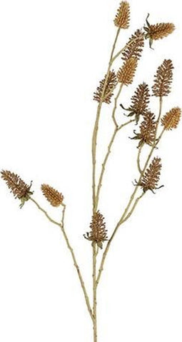 Decoratieve Siertak Carduus | Bruin | 18 x 97 cm