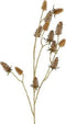 Decoratieve Siertak Carduus | Bruin | 18 x 97 cm
