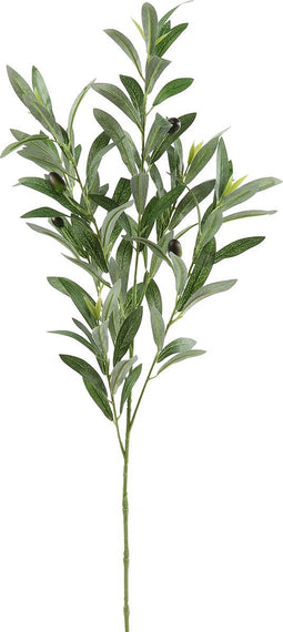 Decoratieve Tak Olea - Groen - 90 cm