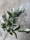 Decoratieve Tak Olea - Groen - 90 cm