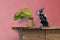 Decorationable | Decoratief object Kenya
