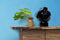 Decorationable | Decoratief object Tanzania