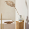 Decorative planta Loco Natural / Banana leaf