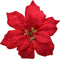 Decoris Poinsettia kerstster velvet op clip Dia 16cm