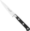 Déglon Cuisine Idéale Sabatier Deg® 10 cm Officemes - Perfect voor Schil- en Snijwerk