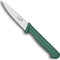 Déglon Office Mes 10 cm Surclass Vert - Perfect voor Precisiewerk in de Keuken