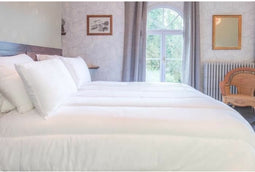 Dekbed Blanreve 350 g/m² 140 x 200 cm