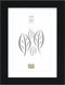Deknudt Frames fotolijst - zwart met passe-partout - 10x15 / 15x20 cm