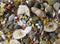 Deli Nature 5 Sterren Menu Goudhamster 750 gr