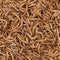 Deli Nature Greenline Meelwormen 700 gr