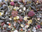 Deli Nature Rodelicious Adult Konijnen 2,5 kg