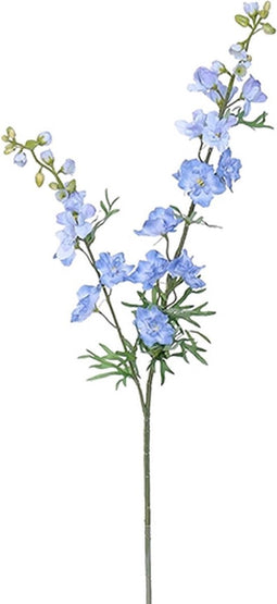 Delphinium tak l.blue
