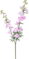 Delphinium tak l.pink