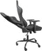 Deltaco DC210 Gamestoel - Ergonomisch - Vegan Leer - Nek- en Rugkussen - Zwart