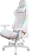 Deltaco WCH90 Gamestoel - Ergonomisch - RGB - Nek- en Rugkussen - Wit