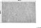 DEMRE - Shaggy vloerkleed - Grijs gemêleerd - 200x300 cm - Polyester