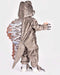 Den Goda Fen Verkleedkledij Dinosaurus Kostuum Spinosaurus - 98-104cm - 3-4 jaar - Bruin